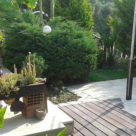 Rodeo Drive Luxury Holiday House וילה קוסדסי