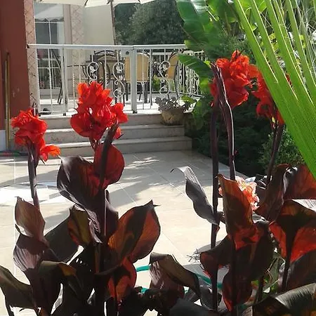 Villa Rodeo Drive Luxury Holiday House