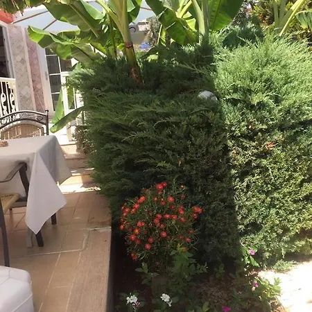 Vila Rodeo Drive Luxury Holiday House